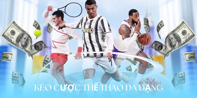 Thế giới thể thao đa dạng